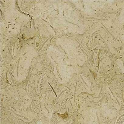 Tavera Marble